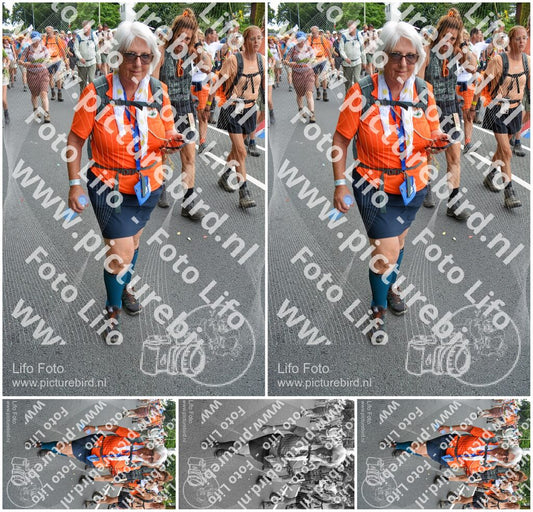 Evenement foto: Nijmeegse Vierdaagse 990