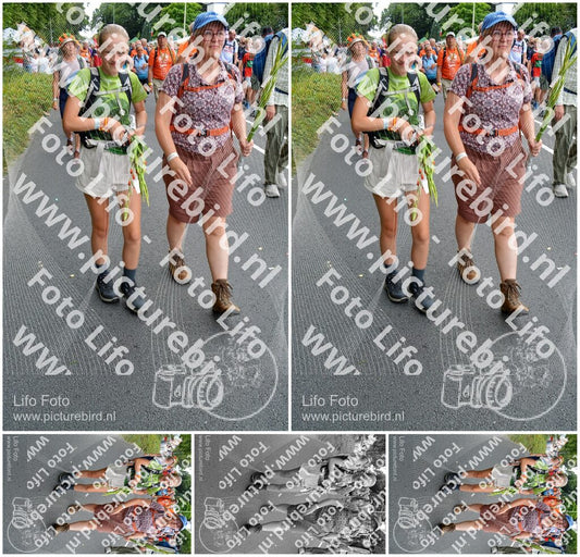 Evenement foto: Nijmeegse Vierdaagse 990