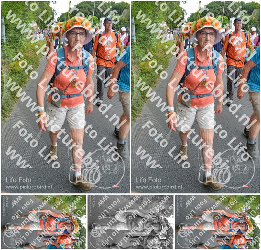 Evenement foto: Nijmeegse Vierdaagse 990