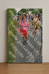 Evenement foto: Nijmeegse Vierdaagse 990