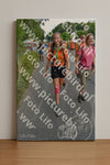 Evenement foto: Nijmeegse Vierdaagse 990