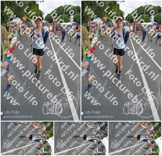 Evenement foto: Nijmeegse Vierdaagse 990