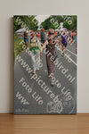 Evenement foto: Nijmeegse Vierdaagse 990