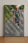 Evenement foto: Nijmeegse Vierdaagse 990