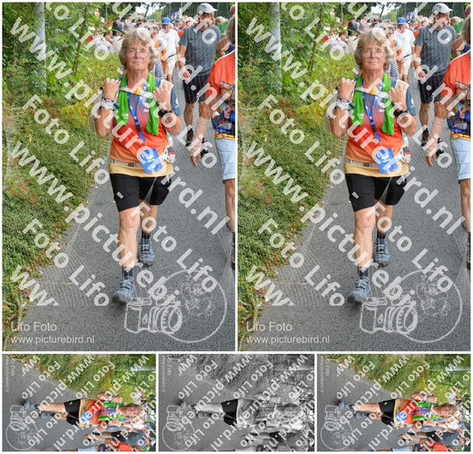 Evenement foto: Nijmeegse Vierdaagse 989