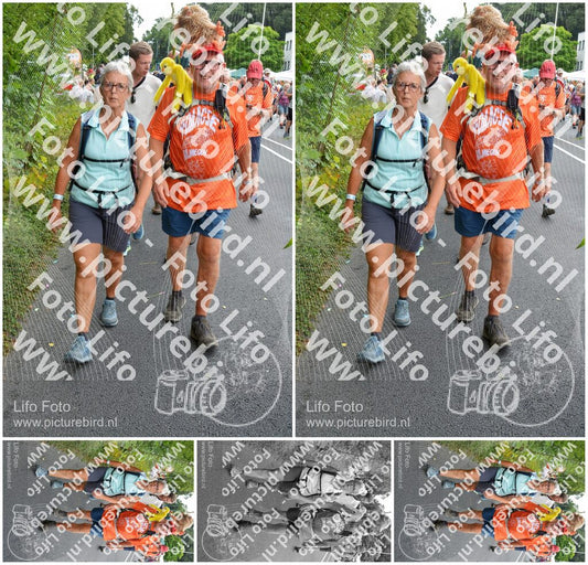 Evenement foto: Nijmeegse Vierdaagse 989