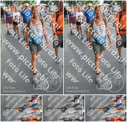 Evenement foto: Nijmeegse Vierdaagse 989