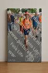 Evenement foto: Nijmeegse Vierdaagse 989