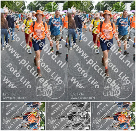 Evenement foto: Nijmeegse Vierdaagse 989