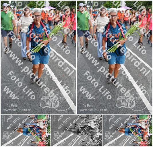 Evenement foto: Nijmeegse Vierdaagse 989