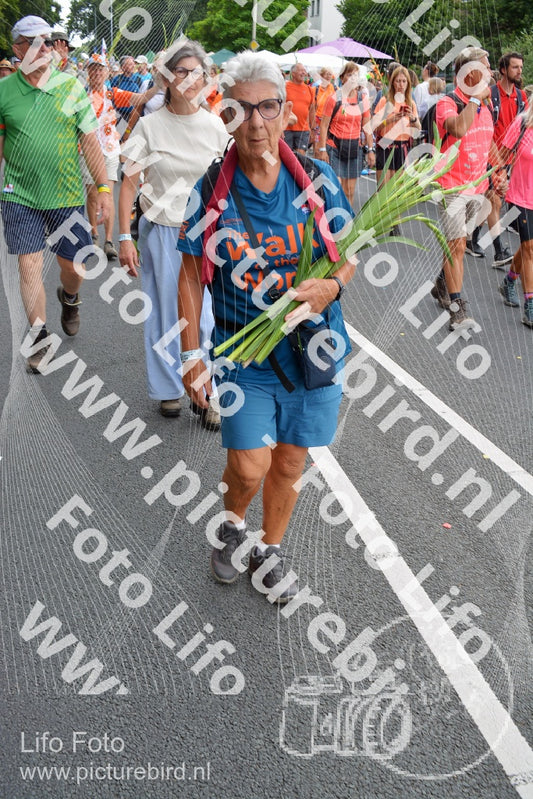 Evenement foto: Nijmeegse Vierdaagse 989