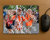 Evenement foto: Nijmeegse Vierdaagse 989
