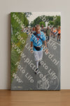 Evenement foto: Nijmeegse Vierdaagse 989