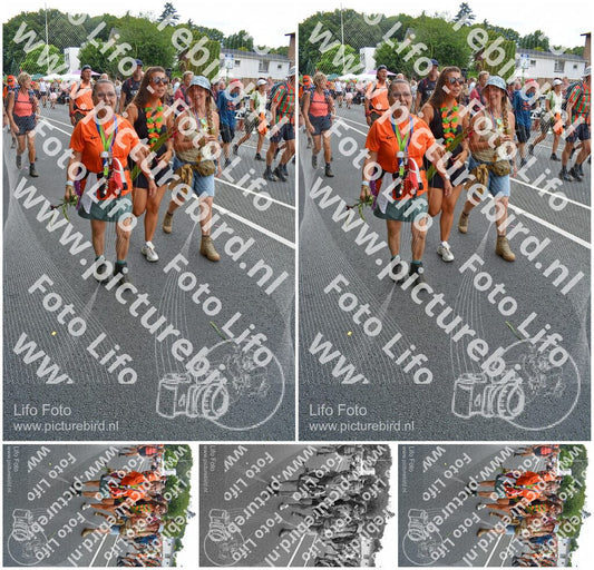 Evenement foto: Nijmeegse Vierdaagse 989