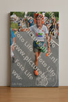 Evenement foto: Nijmeegse Vierdaagse 989