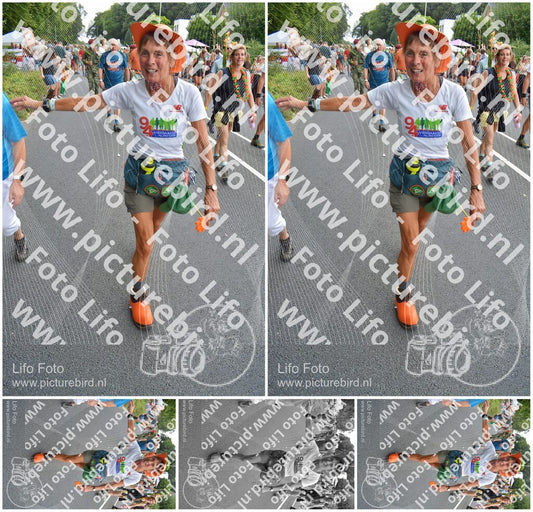 Evenement foto: Nijmeegse Vierdaagse 989