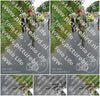 Evenement foto: Nijmeegse Vierdaagse 989