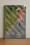 Evenement foto: Nijmeegse Vierdaagse 989