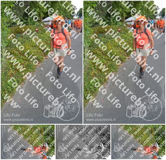 Evenement foto: Nijmeegse Vierdaagse 989