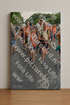 Evenement foto: Nijmeegse Vierdaagse 989