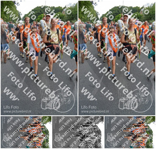 Evenement foto: Nijmeegse Vierdaagse 989