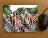 Evenement foto: Nijmeegse Vierdaagse 989