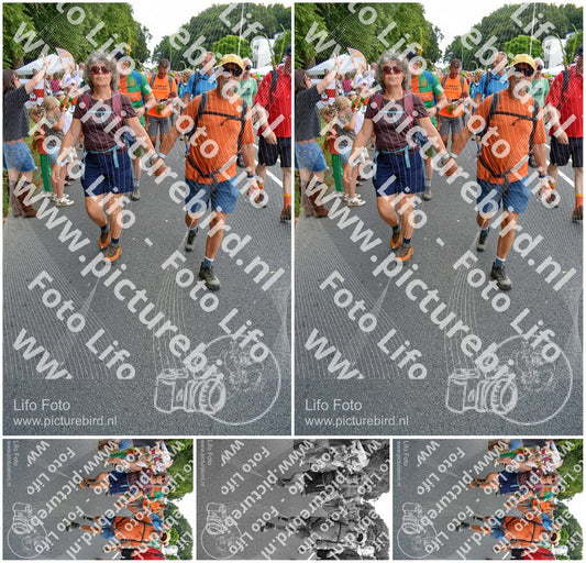 Evenement foto: Nijmeegse Vierdaagse 989