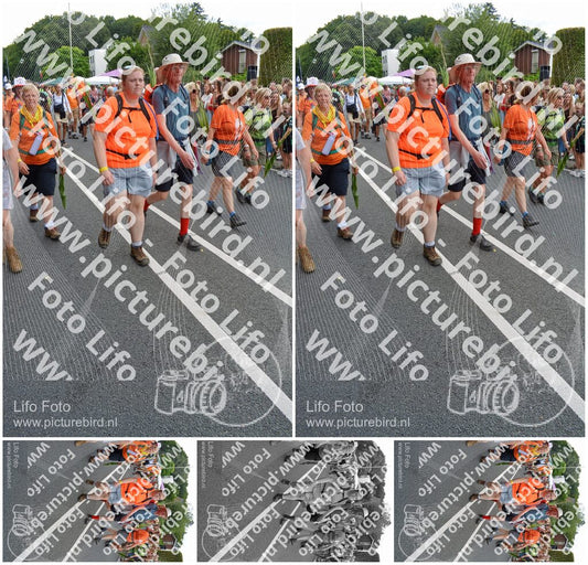 Evenement foto: Nijmeegse Vierdaagse 989