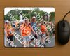 Evenement foto: Nijmeegse Vierdaagse 989