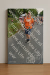 Evenement foto: Nijmeegse Vierdaagse 989