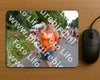 Evenement foto: Nijmeegse Vierdaagse 989