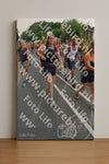 Evenement foto: Nijmeegse Vierdaagse 989