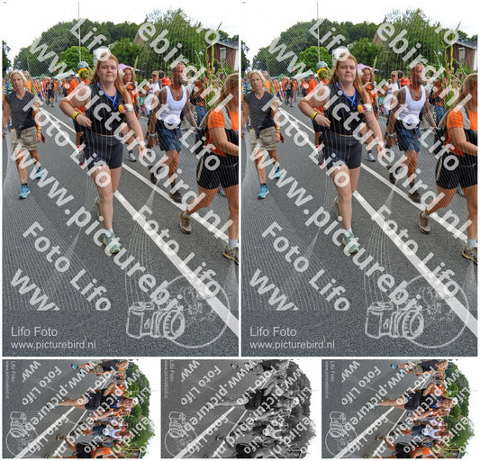 Evenement foto: Nijmeegse Vierdaagse 989