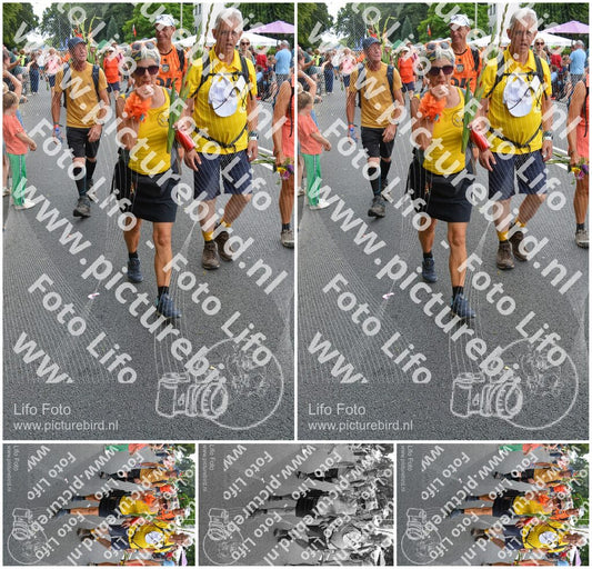 Evenement foto: Nijmeegse Vierdaagse 989