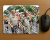 Evenement foto: Nijmeegse Vierdaagse 989