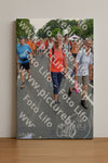 Evenement foto: Nijmeegse Vierdaagse 989