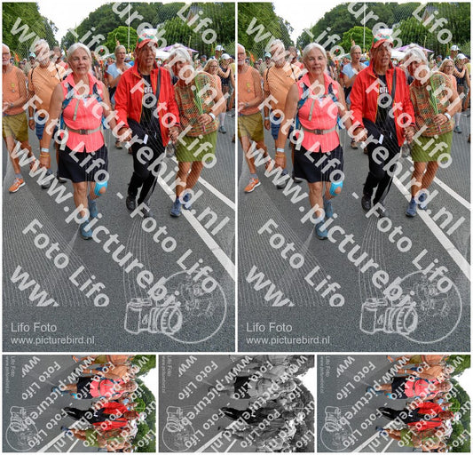 Evenement foto: Nijmeegse Vierdaagse 989