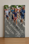 Evenement foto: Nijmeegse Vierdaagse 989