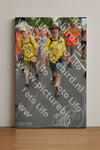 Evenement foto: Nijmeegse Vierdaagse 989