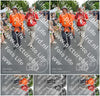 Evenement foto: Nijmeegse Vierdaagse 989