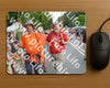 Evenement foto: Nijmeegse Vierdaagse 989
