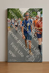 Evenement foto: Nijmeegse Vierdaagse 989