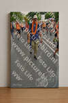 Evenement foto: Nijmeegse Vierdaagse 989