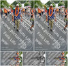 Evenement foto: Nijmeegse Vierdaagse 989