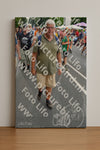 Evenement foto: Nijmeegse Vierdaagse 989