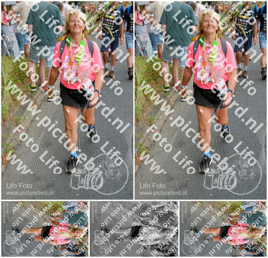 Evenement foto: Nijmeegse Vierdaagse 989