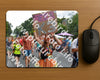 Evenement foto: Nijmeegse Vierdaagse 989