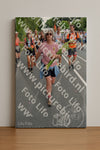 Evenement foto: Nijmeegse Vierdaagse 988