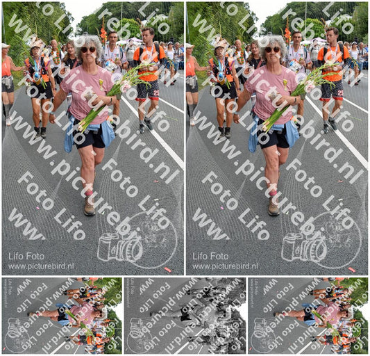 Evenement foto: Nijmeegse Vierdaagse 988