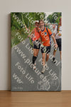 Evenement foto: Nijmeegse Vierdaagse 988